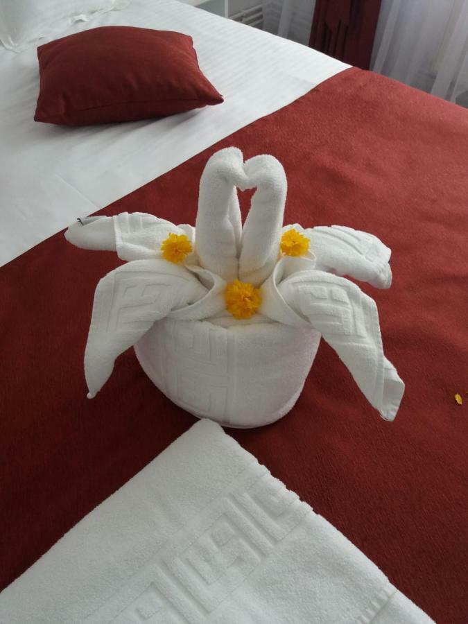Apartament Mont Blanc Sinaia Zewnętrze zdjęcie